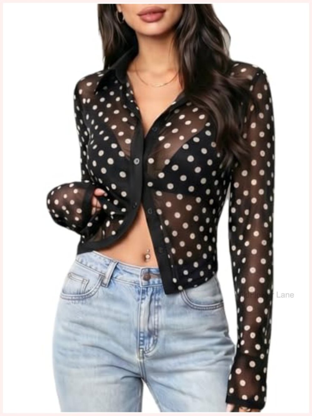 Sheer Long Sleeve Crop Top Polka Dot Button Up Blouse Sexy See Through Clubwear